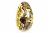 Calcite Crystal Filled Septarian Geode Egg - Utah #288952-2